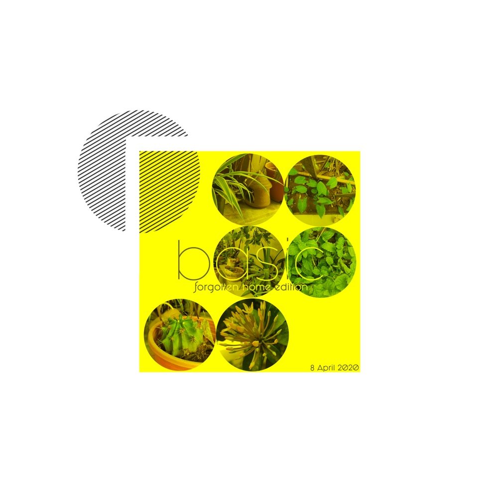 Basic graphic journal 16